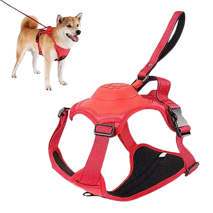 3 in 1 Harness With Built-In Lead