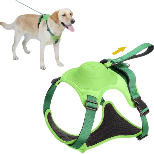 3 in 1 Harness With Built-In Lead