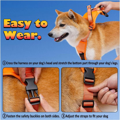 3 in 1 Harness With Built-In Lead