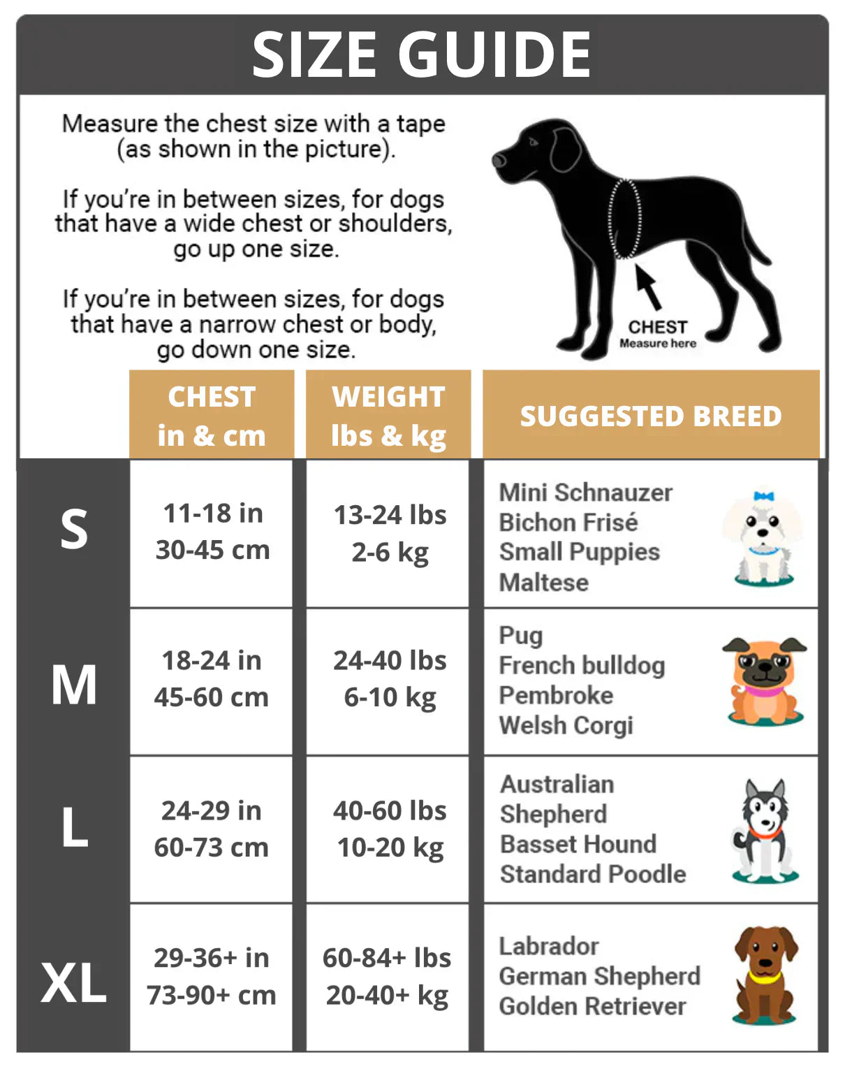 3 in 1 Harness With Built-In Lead